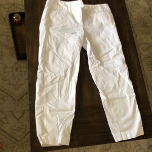 loft marisa pants